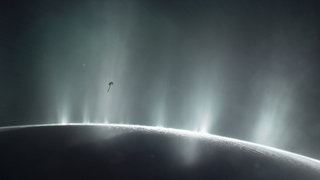 What Would Life On Saturn's Moon Enceladus Look Like?